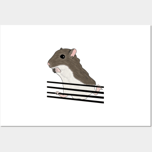 Cute brown gerbil eating sunflower seeds Posters and Art